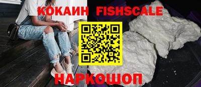 индика Будённовск