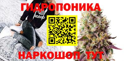 индика Будённовск