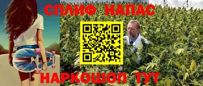 индика Будённовск