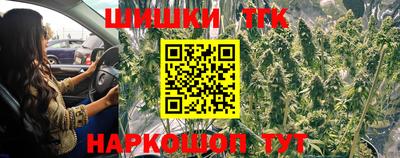 индика Будённовск