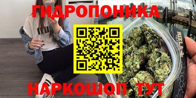 индика Будённовск