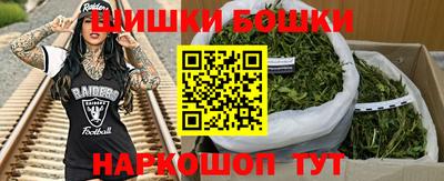 индика Будённовск