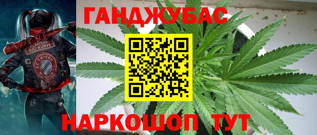 Каннабис план Коряжма